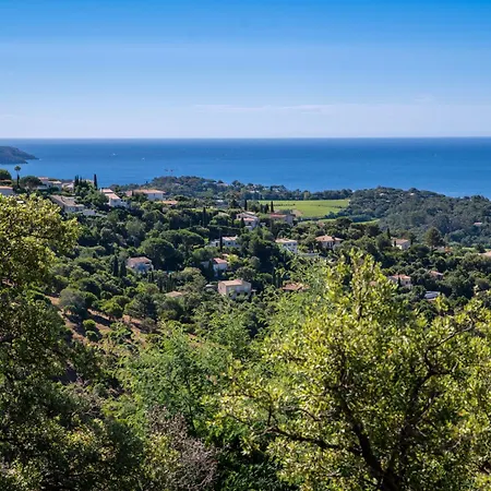 Avec Piscine Et Vue Sur Panoramique Villa La Croix-Valmer